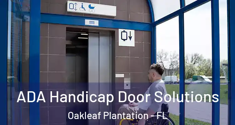  ADA Handicap Door Solutions Oakleaf Plantation - FL