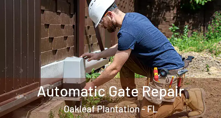  Automatic Gate Repair Oakleaf Plantation - FL