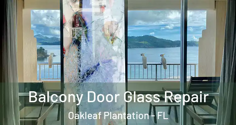  Balcony Door Glass Repair Oakleaf Plantation - FL