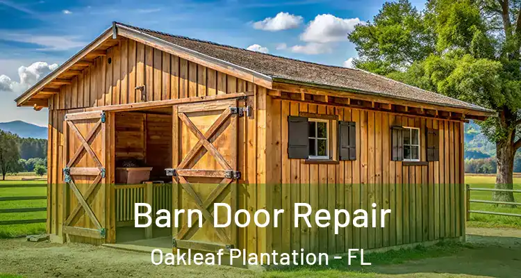  Barn Door Repair Oakleaf Plantation - FL