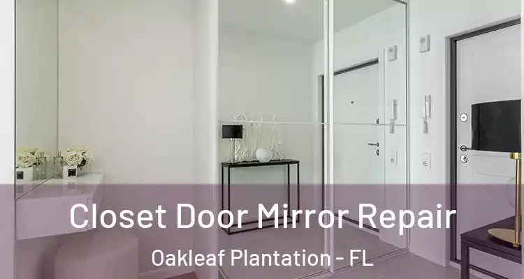  Closet Door Mirror Repair Oakleaf Plantation - FL
