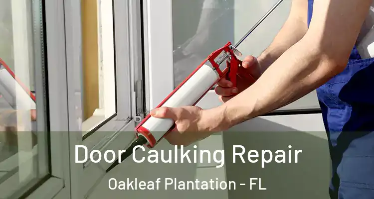  Door Caulking Repair Oakleaf Plantation - FL
