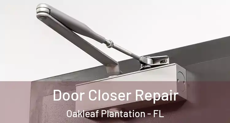  Door Closer Repair Oakleaf Plantation - FL