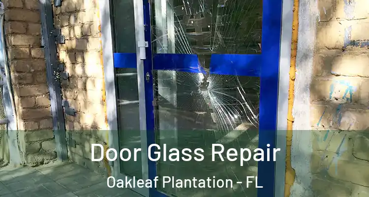  Door Glass Repair Oakleaf Plantation - FL