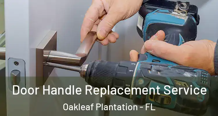  Door Handle Replacement Service Oakleaf Plantation - FL