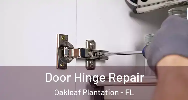  Door Hinge Repair Oakleaf Plantation - FL
