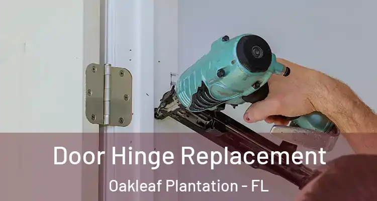  Door Hinge Replacement Oakleaf Plantation - FL