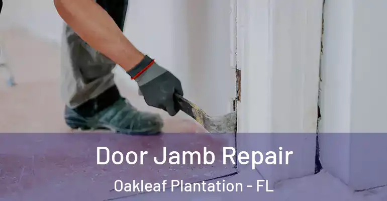  Door Jamb Repair Oakleaf Plantation - FL