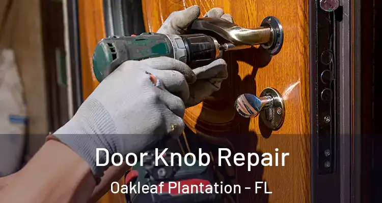  Door Knob Repair Oakleaf Plantation - FL