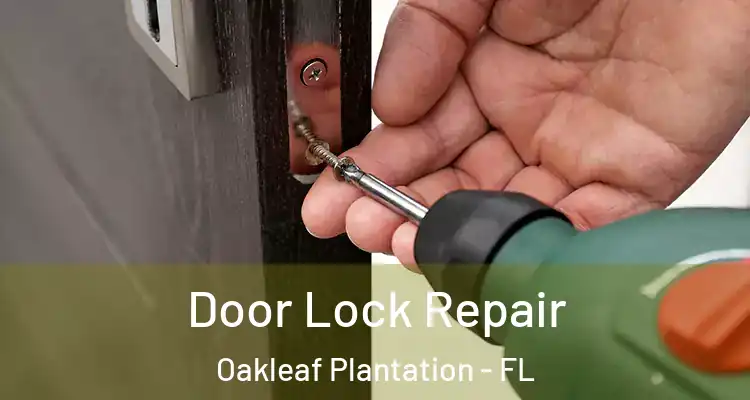  Door Lock Repair Oakleaf Plantation - FL