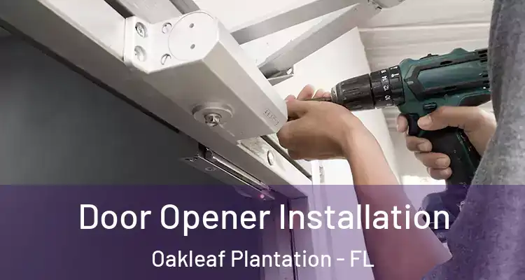  Door Opener Installation Oakleaf Plantation - FL