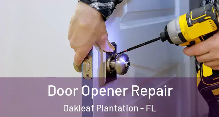  Door Opener Repair Oakleaf Plantation - FL