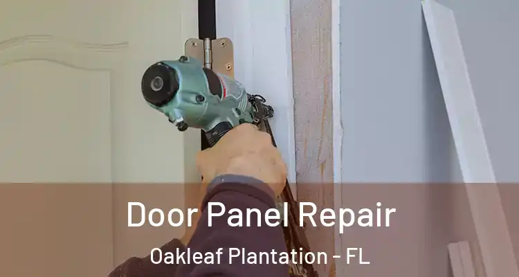  Door Panel Repair Oakleaf Plantation - FL
