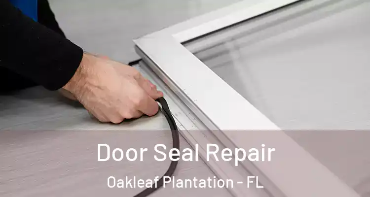  Door Seal Repair Oakleaf Plantation - FL