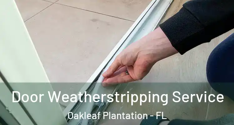  Door Weatherstripping Service Oakleaf Plantation - FL
