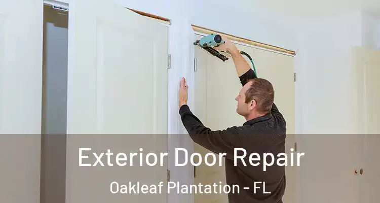  Exterior Door Repair Oakleaf Plantation - FL