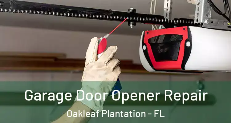  Garage Door Opener Repair Oakleaf Plantation - FL