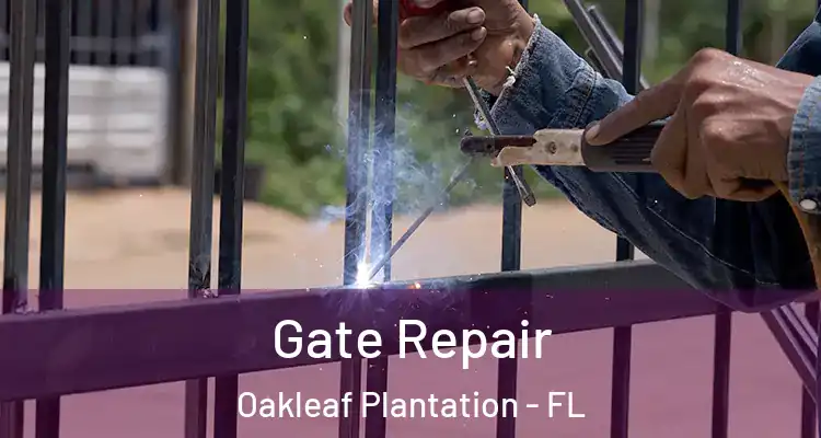  Gate Repair Oakleaf Plantation - FL