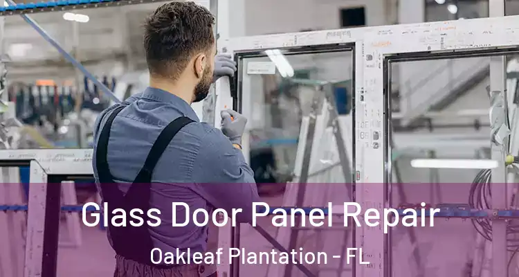  Glass Door Panel Repair Oakleaf Plantation - FL