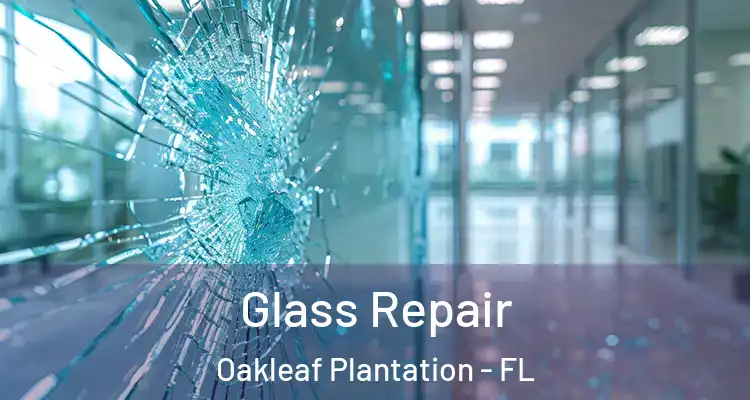  Glass Repair Oakleaf Plantation - FL