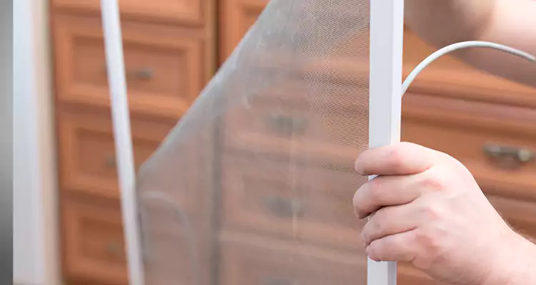 Privacy Mesh Screen Door Installation in Oakleaf Plantation, FL