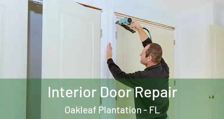  Interior Door Repair Oakleaf Plantation - FL