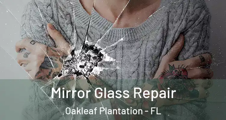  Mirror Glass Repair Oakleaf Plantation - FL