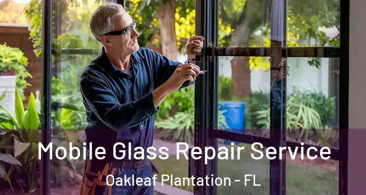  Mobile Glass Repair Service Oakleaf Plantation - FL