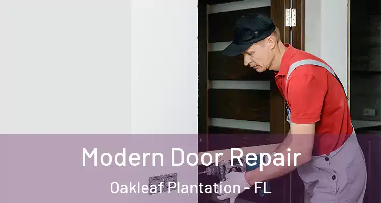  Modern Door Repair Oakleaf Plantation - FL