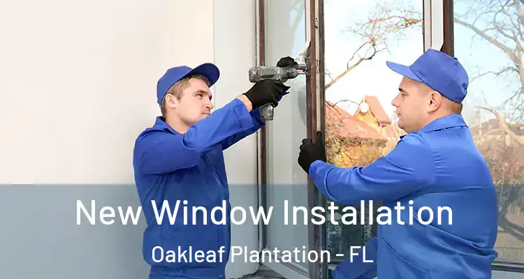  New Window Installation Oakleaf Plantation - FL