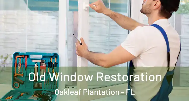 Old Window Restoration Oakleaf Plantation - FL