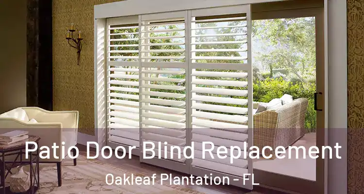  Patio Door Blind Replacement Oakleaf Plantation - FL