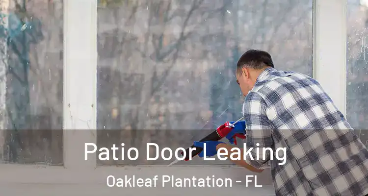  Patio Door Leaking Oakleaf Plantation - FL