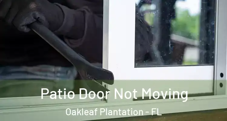  Patio Door Not Moving Oakleaf Plantation - FL