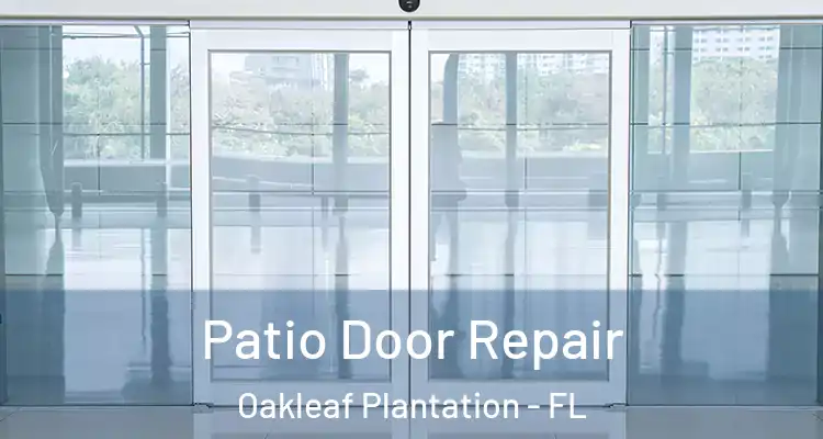  Patio Door Repair Oakleaf Plantation - FL