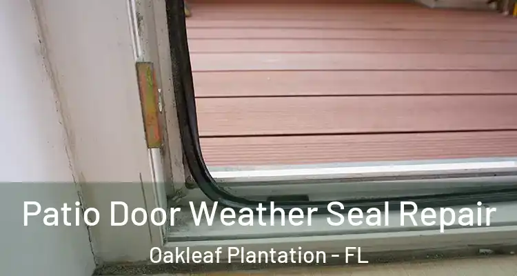  Patio Door Weather Seal Repair Oakleaf Plantation - FL