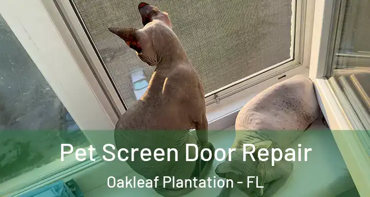  Pet Screen Door Repair Oakleaf Plantation - FL