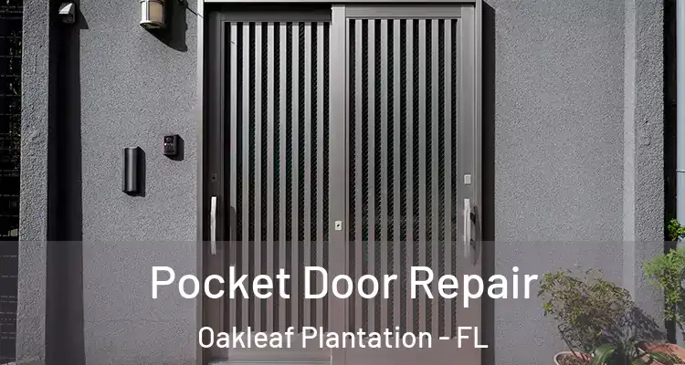  Pocket Door Repair Oakleaf Plantation - FL