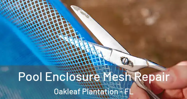  Pool Enclosure Mesh Repair Oakleaf Plantation - FL
