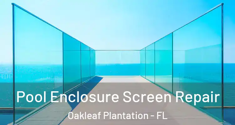  Pool Enclosure Screen Repair Oakleaf Plantation - FL
