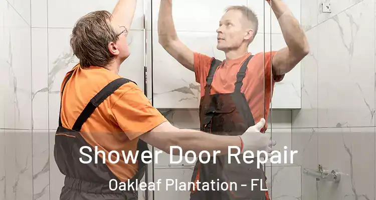  Shower Door Repair Oakleaf Plantation - FL