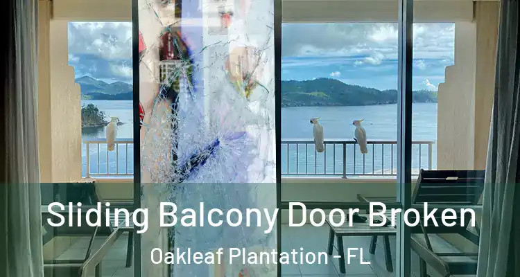  Sliding Balcony Door Broken Oakleaf Plantation - FL