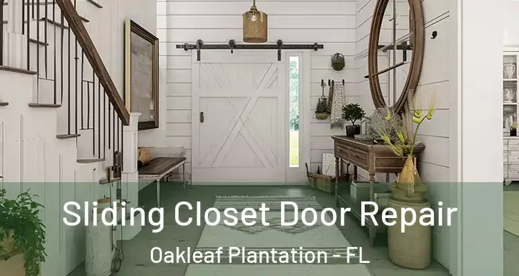  Sliding Closet Door Repair Oakleaf Plantation - FL