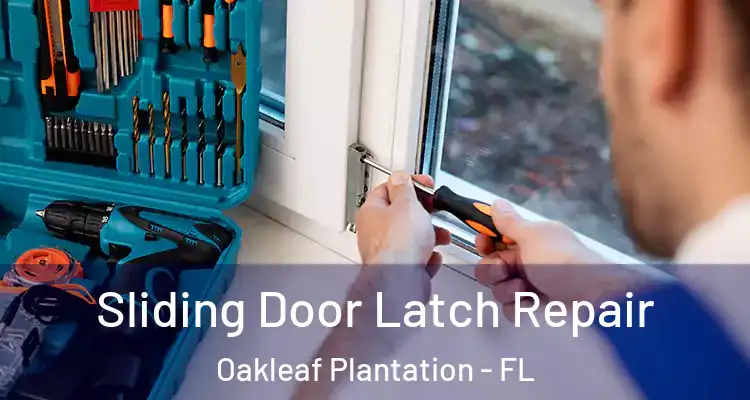  Sliding Door Latch Repair Oakleaf Plantation - FL