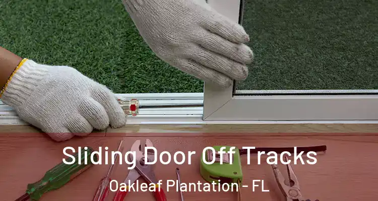  Sliding Door Off Tracks Oakleaf Plantation - FL