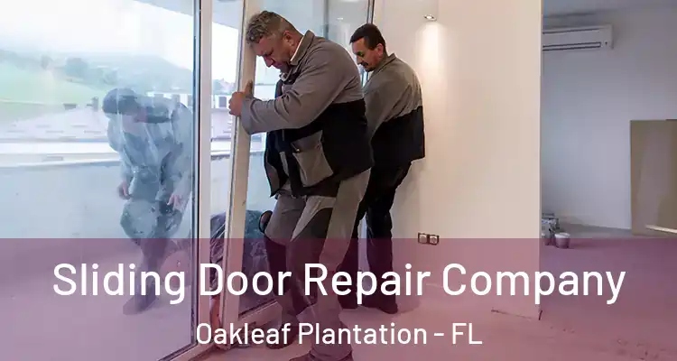  Sliding Door Repair Company Oakleaf Plantation - FL