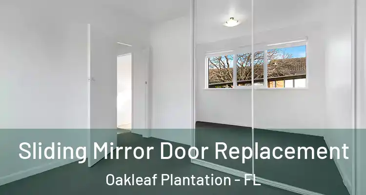  Sliding Mirror Door Replacement Oakleaf Plantation - FL