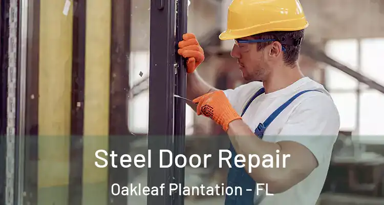  Steel Door Repair Oakleaf Plantation - FL