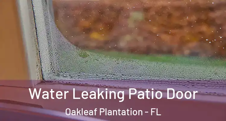  Water Leaking Patio Door Oakleaf Plantation - FL