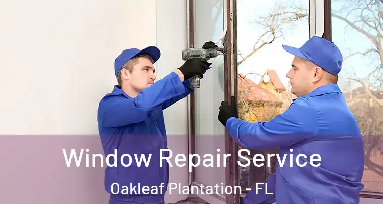  Window Repair Service Oakleaf Plantation - FL